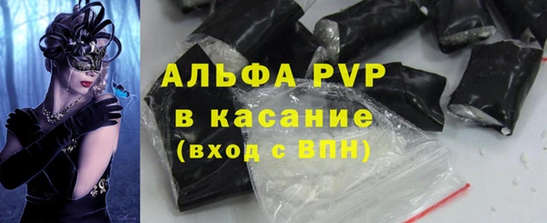 стафф Новый Уренгой