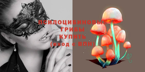 apvp Семёнов