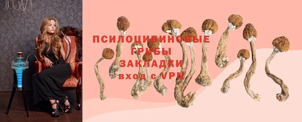 марихуана Бердск