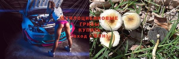 дмт Яранск