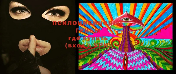 молекула духа Долгопрудный