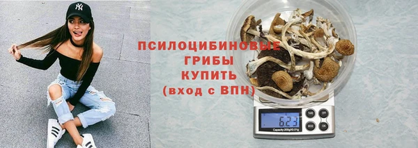 молекула духа Долгопрудный
