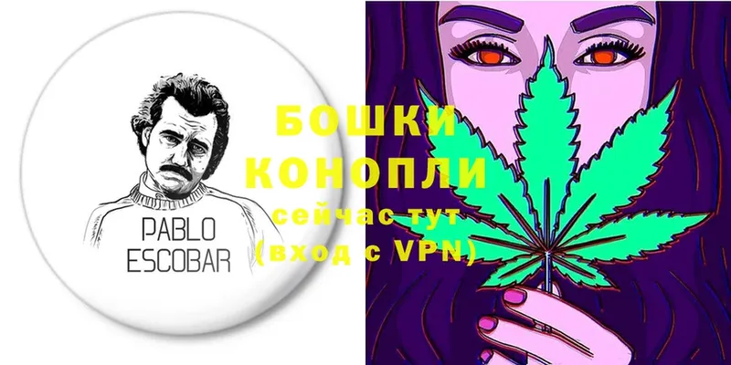 сайты даркнета состав  Цоци-Юрт  Шишки марихуана OG Kush 