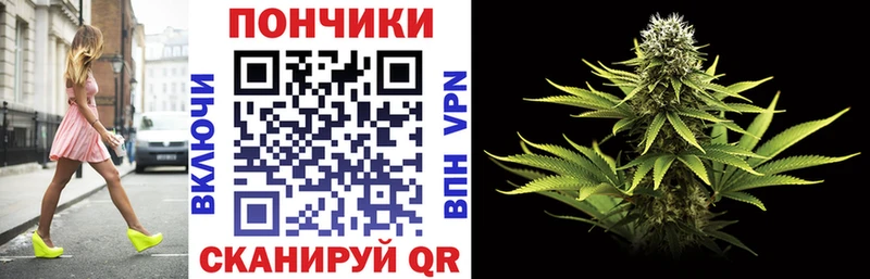 Канабис семена  Цоци-Юрт 